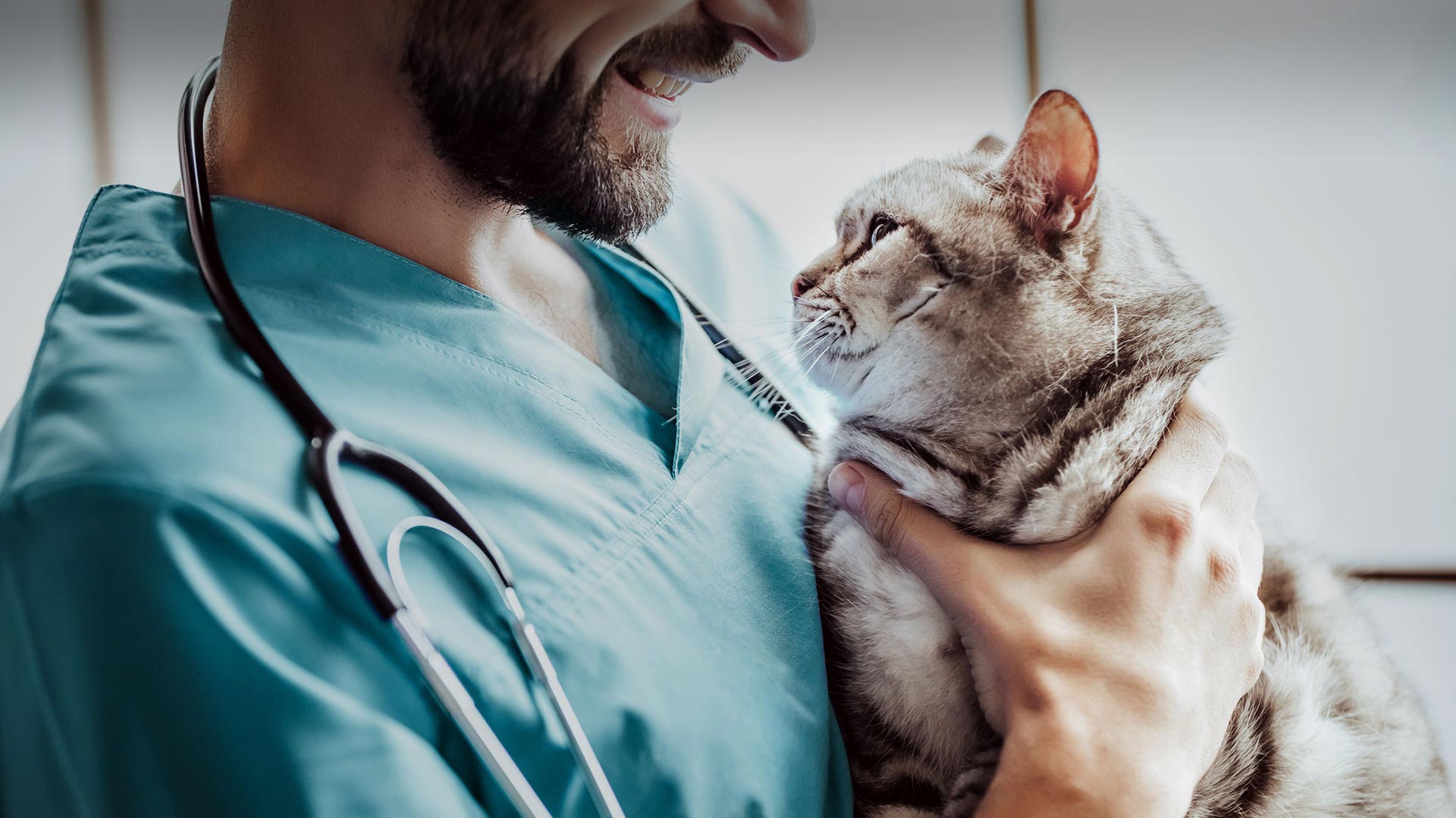 Yalıhüyük Veteriner